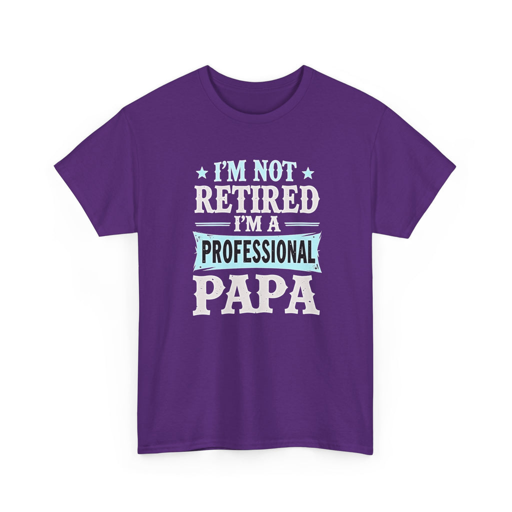 I'm Not Retired I'm A Professional Papa T-Shirt
