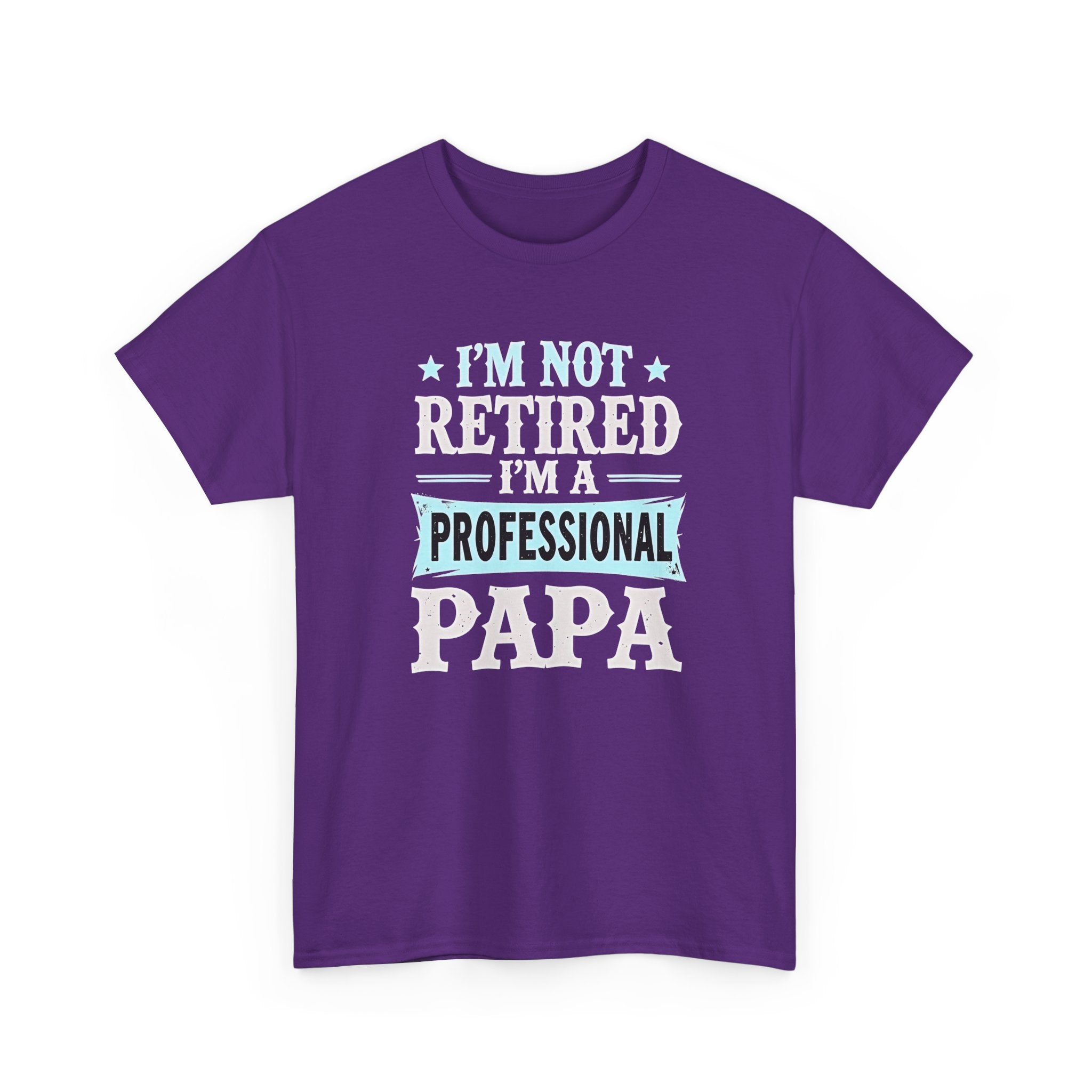 I'm Not Retired I'm A Professional Papa T-Shirt