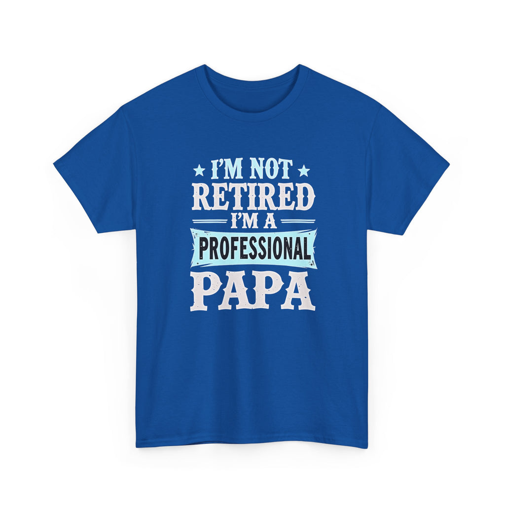 I'm Not Retired I'm A Professional Papa T-Shirt