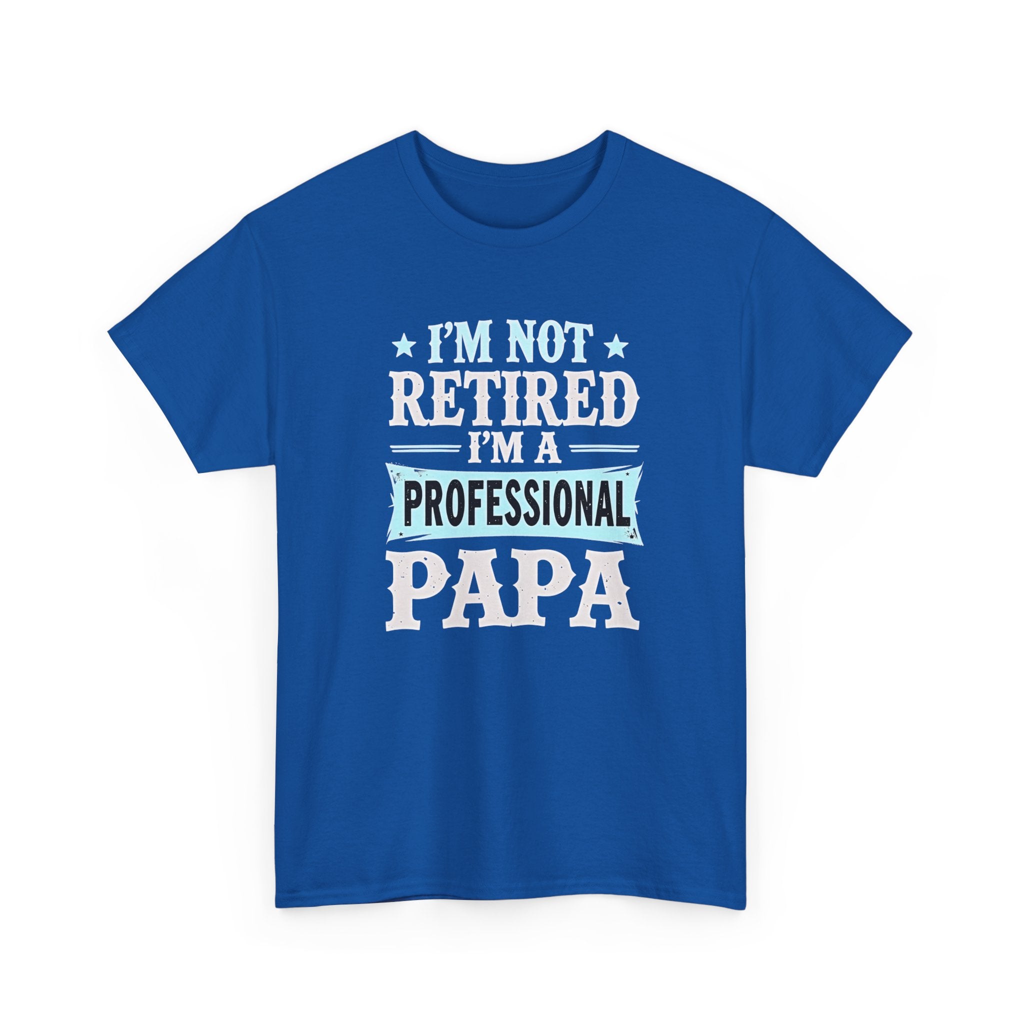 I'm Not Retired I'm A Professional Papa T-Shirt