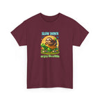 Slow Down Turtle Sloth & Snail V-Neck Tee — "Enjoy Life a Little" Relaxed Graphic Shirt