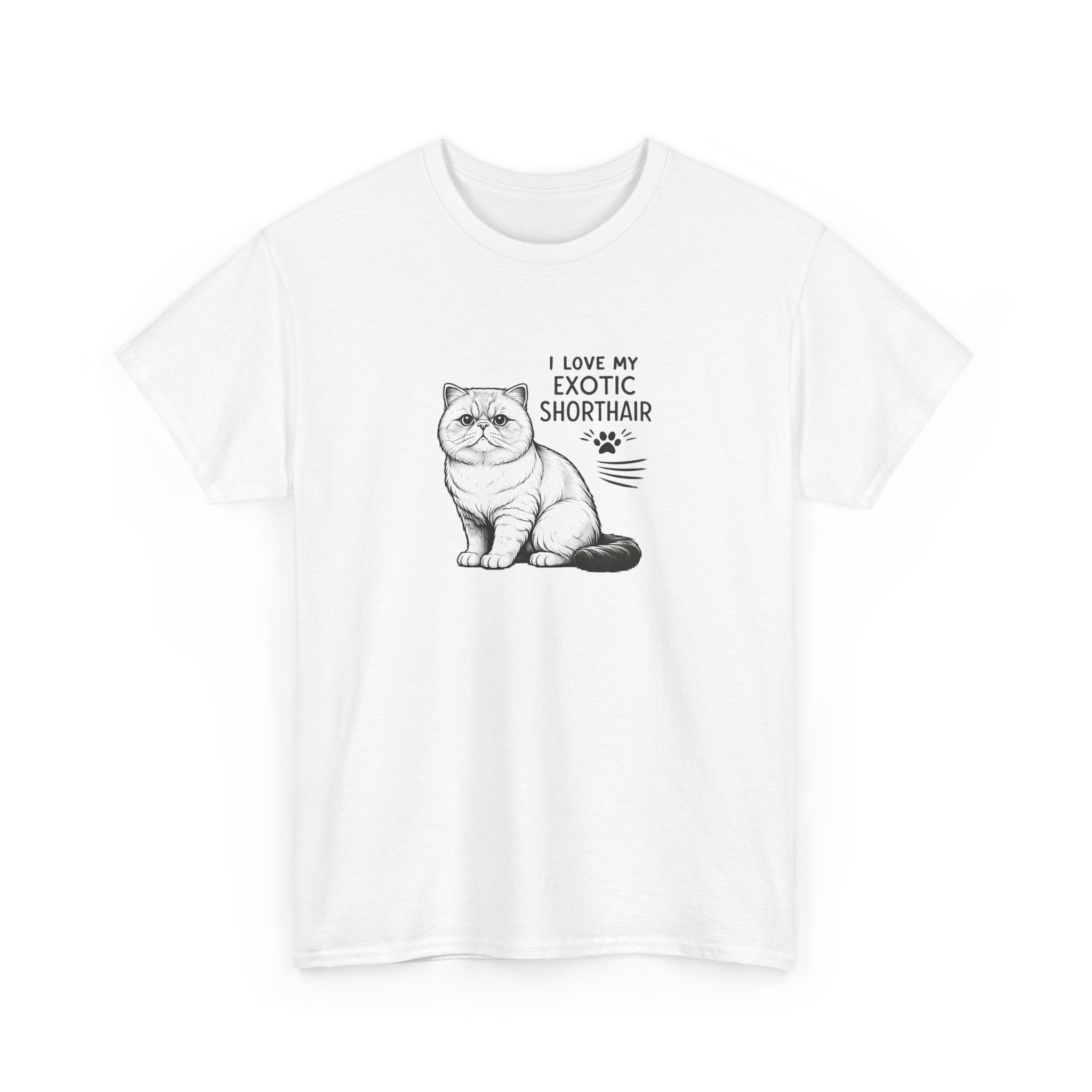 'I love my exotic shorthair cat'