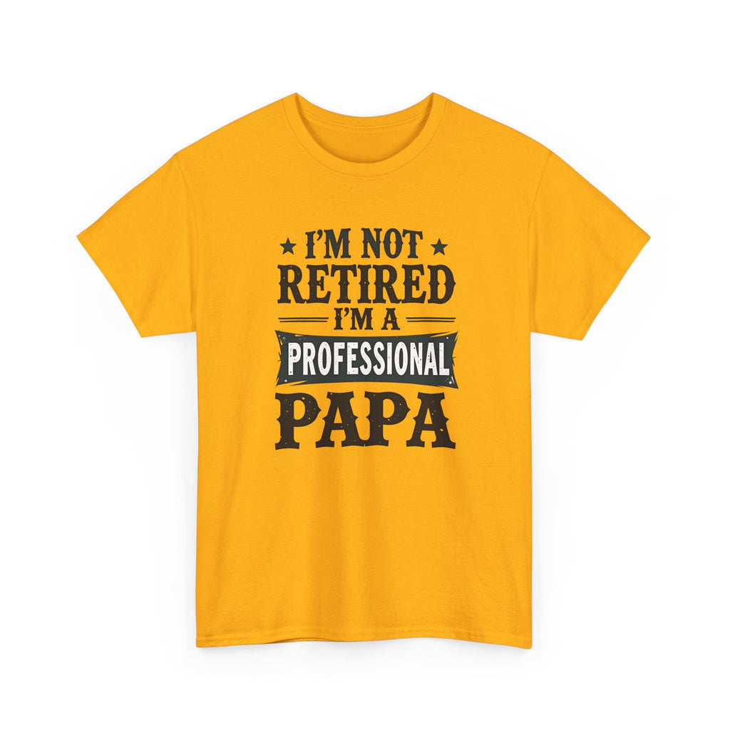 I'm Not Retired I'm A Professional Papa T-Shirt