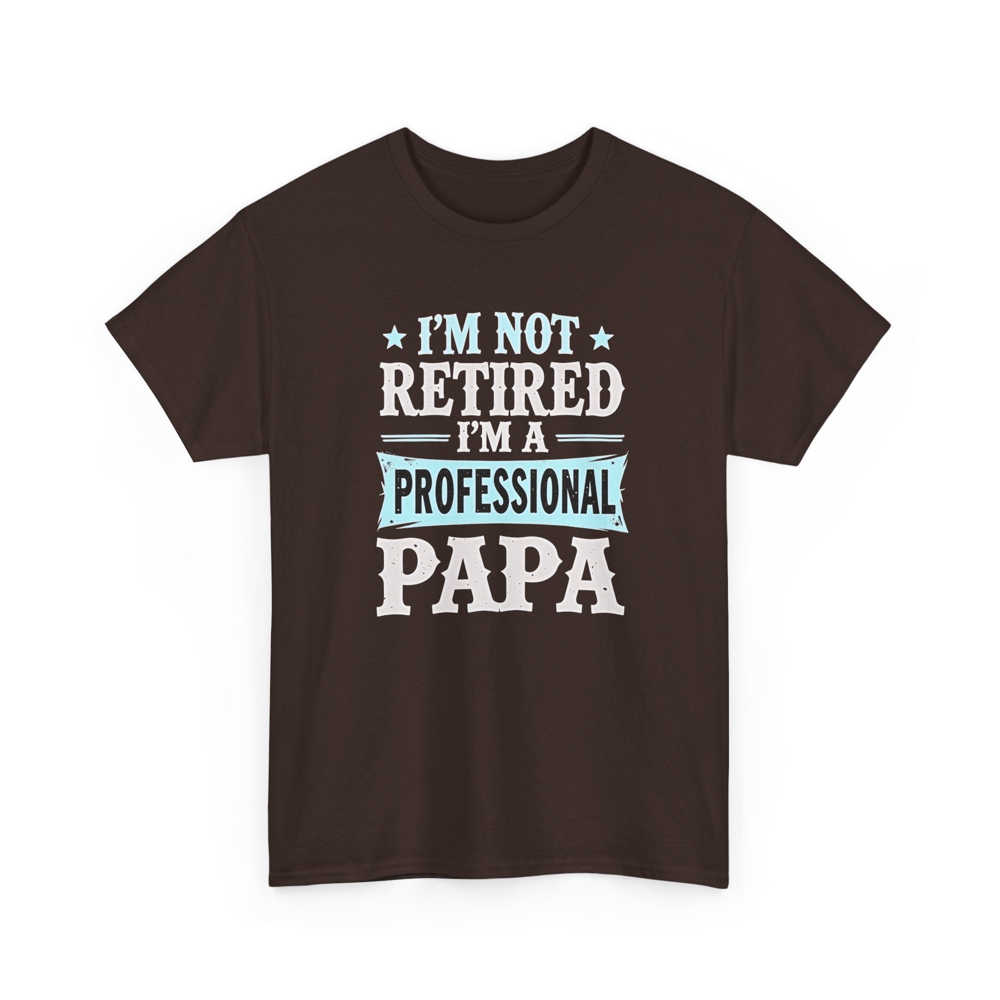 I'm Not Retired I'm A Professional Papa T-Shirt