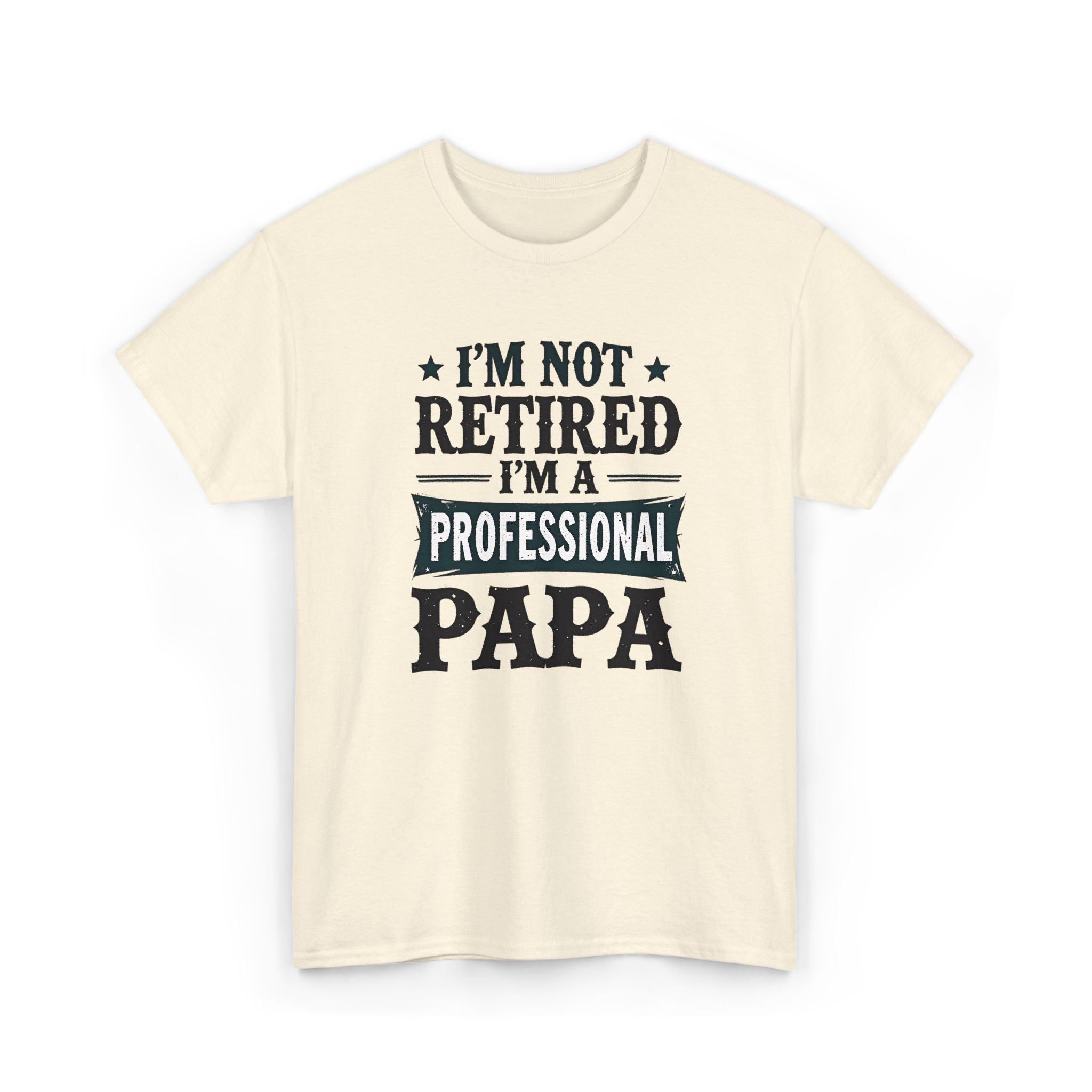 I'm Not Retired I'm A Professional Papa T-Shirt