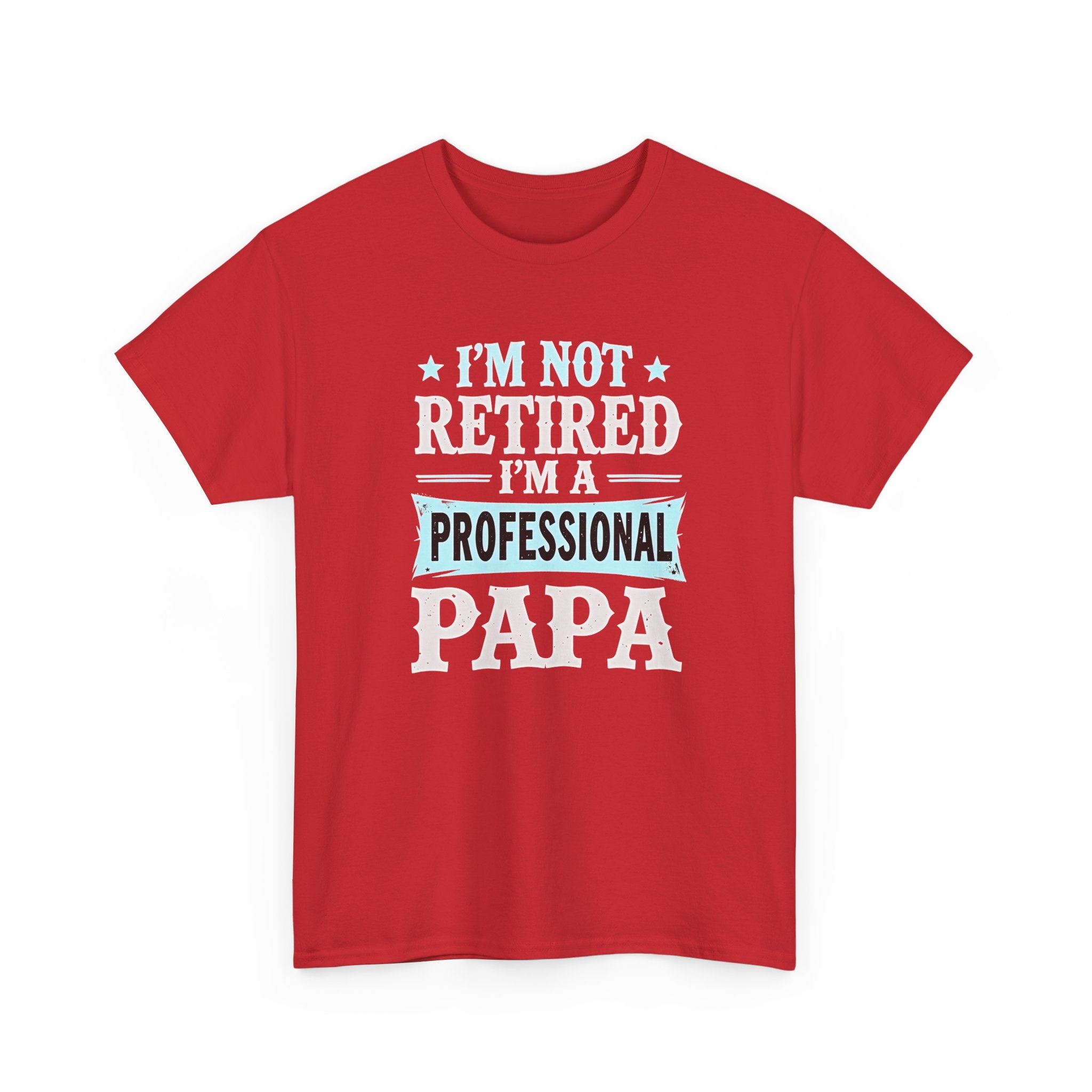 I'm Not Retired I'm A Professional Papa T-Shirt