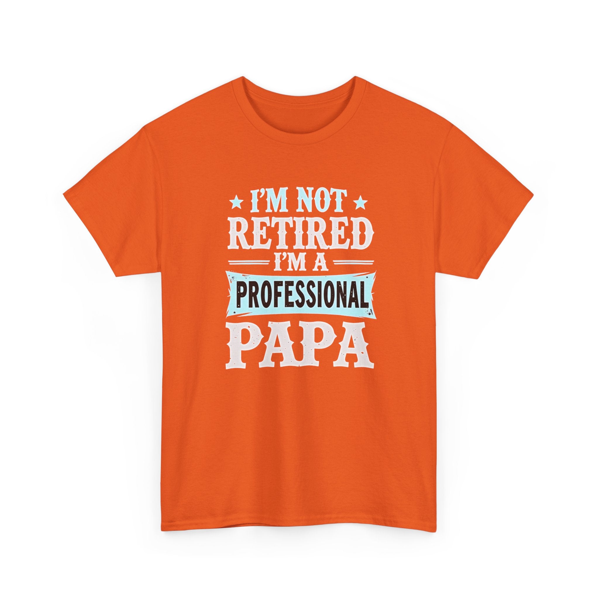I'm Not Retired I'm A Professional Papa T-Shirt