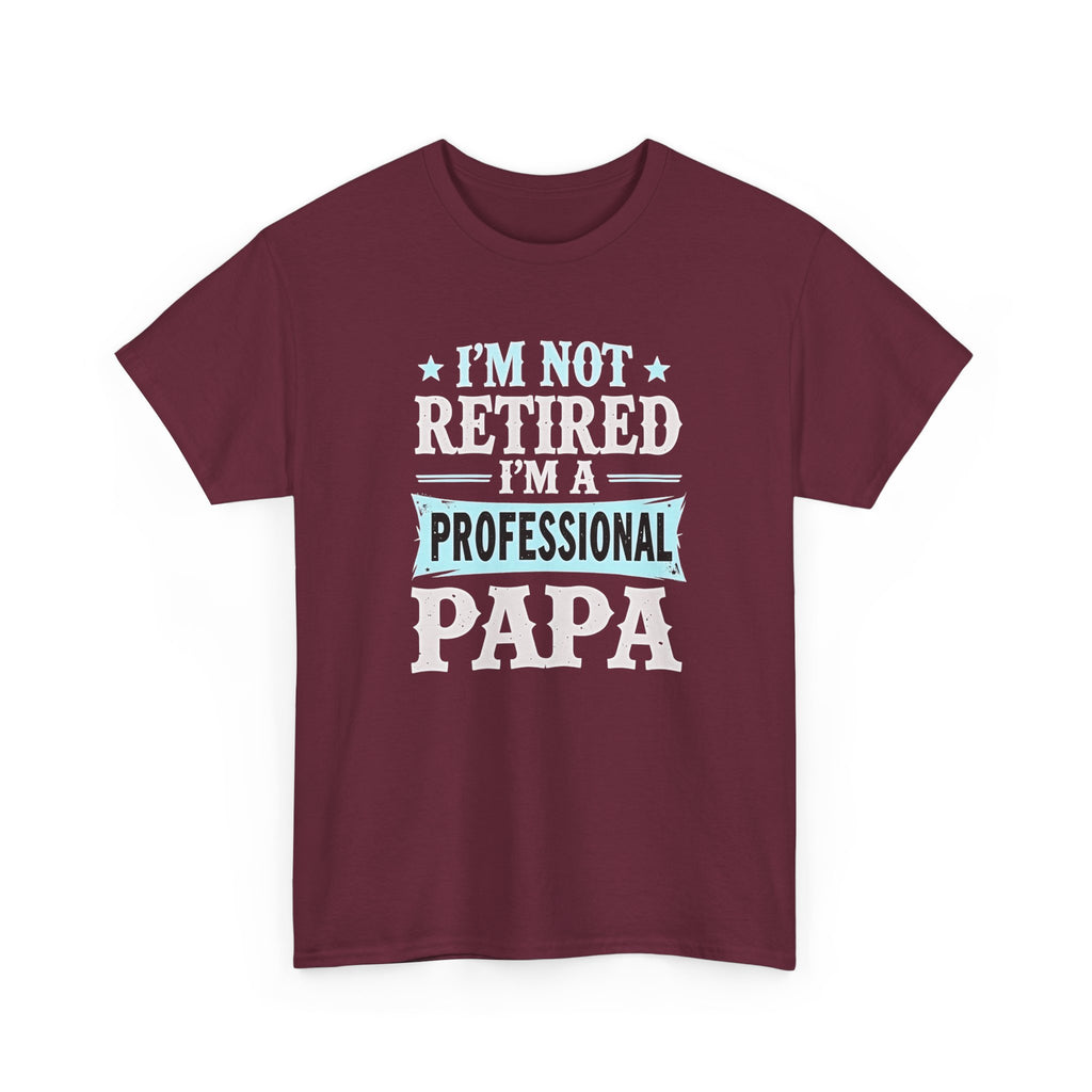 I'm Not Retired I'm A Professional Papa T-Shirt