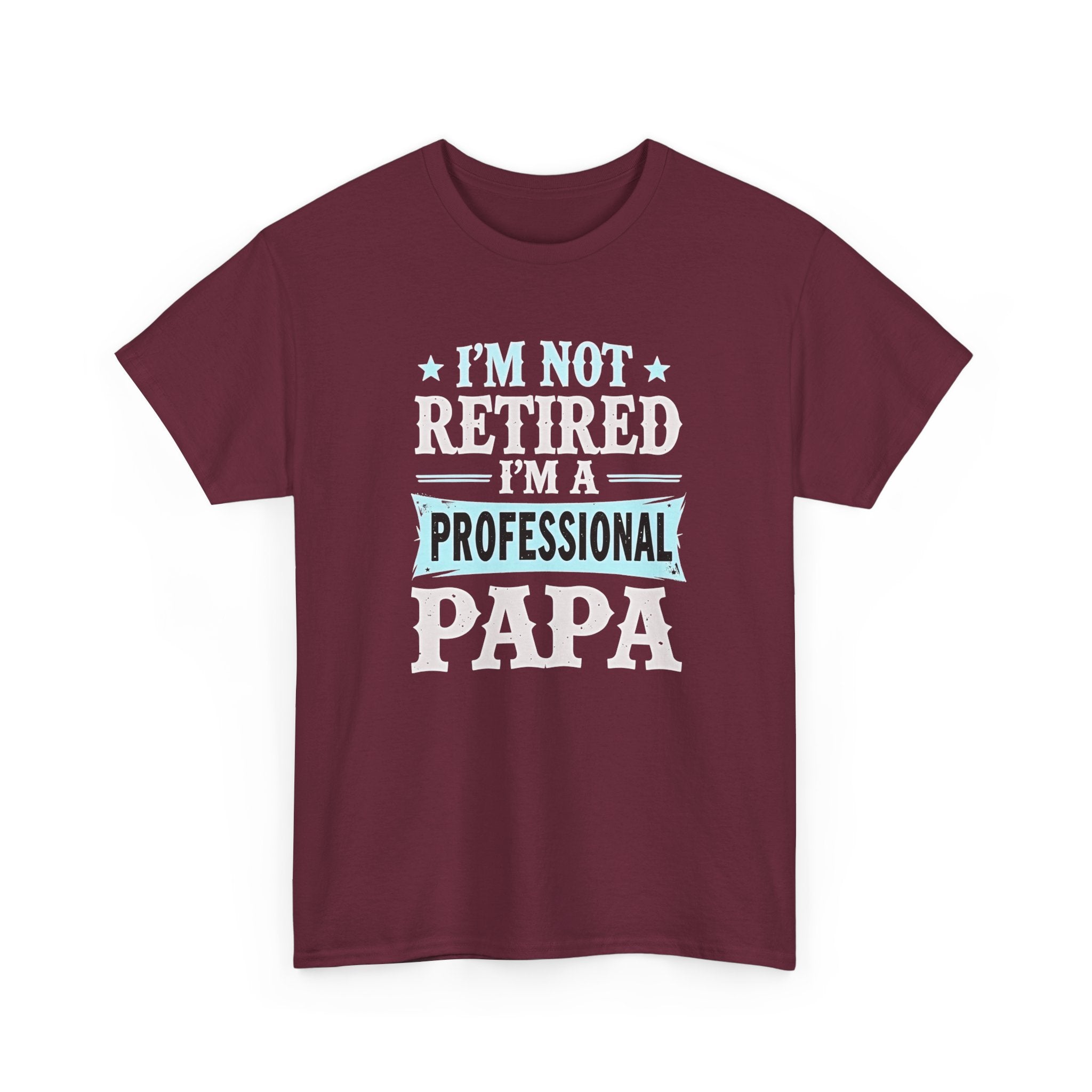 I'm Not Retired I'm A Professional Papa T-Shirt